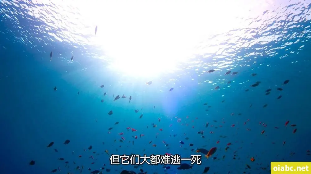 日韩vr欧美vr性视频剧照3